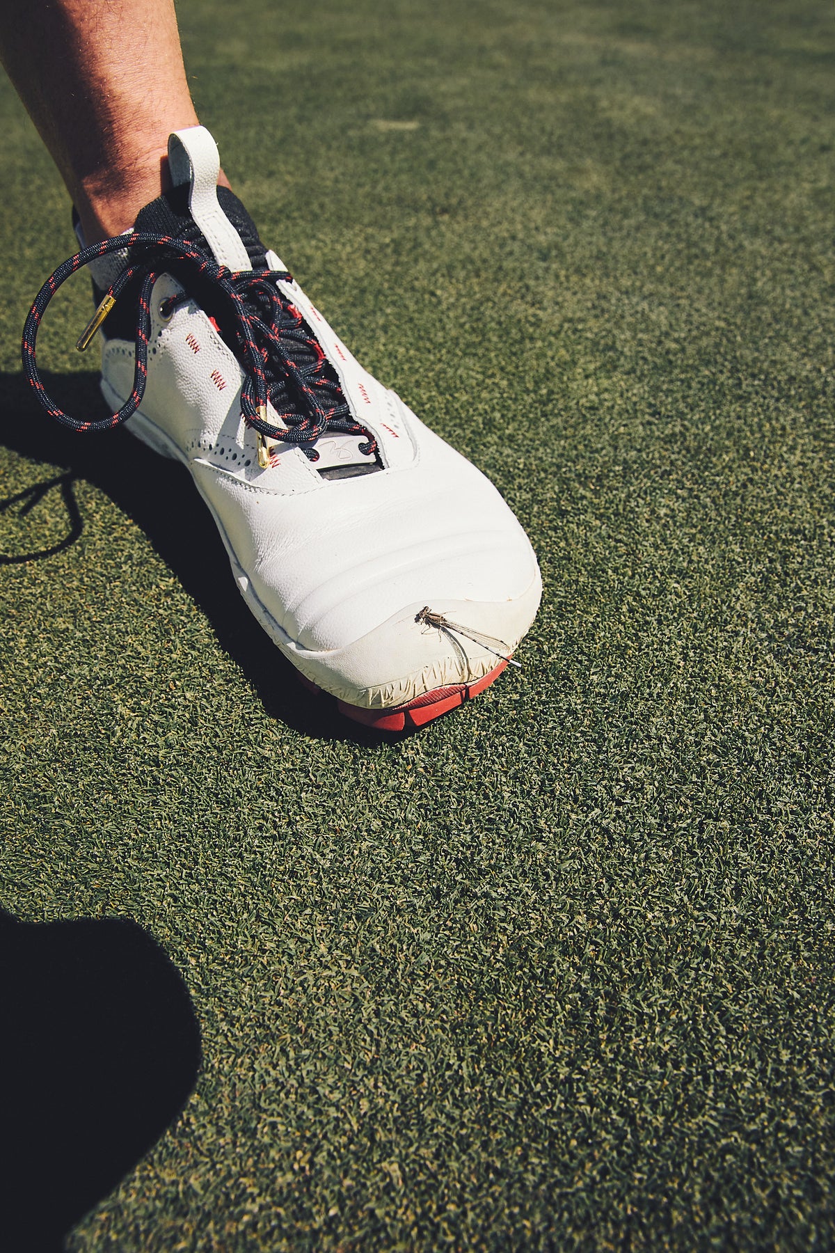 WIN36 Barefoot Golf Shoe